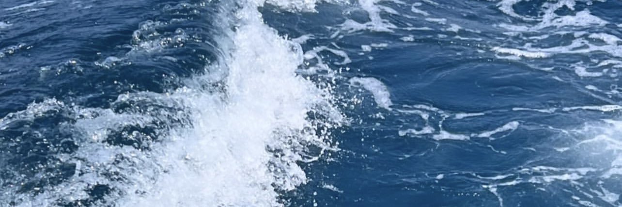 DinaSbst's profile banner image