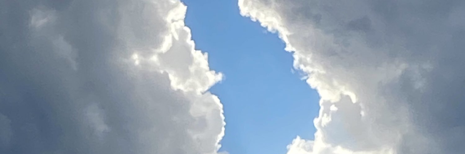 SandraMutal's profile banner image