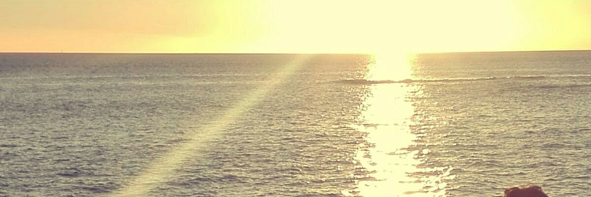 Patrii_02's profile banner image