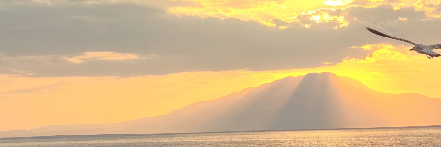 SerokBahceli's profile banner image