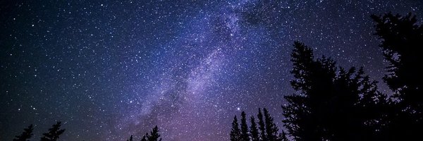 PowerPlatformP1 Profile Banner