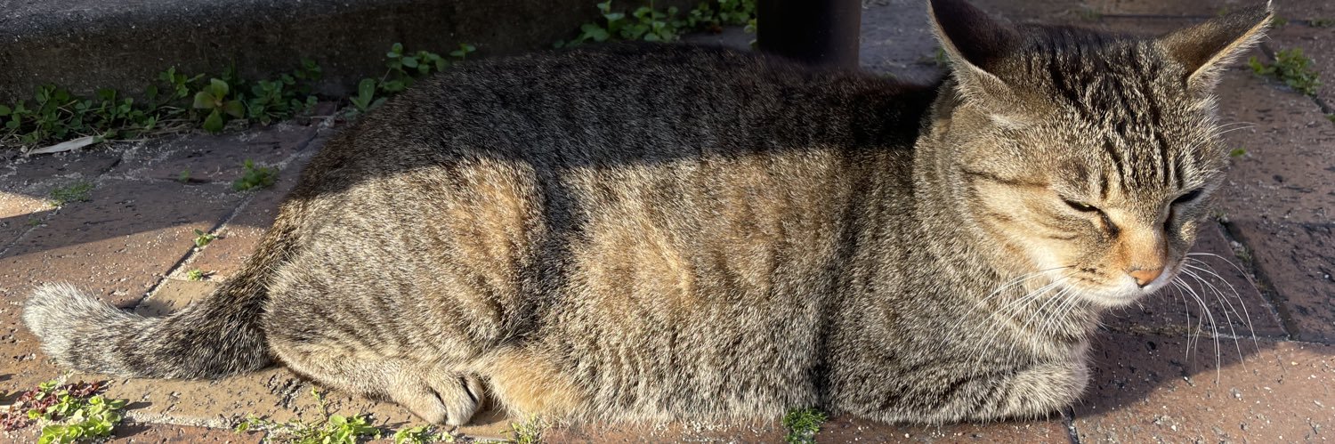 ひよ（ひよ子🐣）（太郎）ちゃん🐣勤務上しばらくの間ヲタ活休止します。 banner