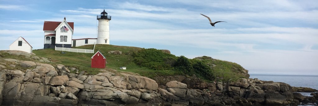 Ashlee Scott : she/her(s) banner