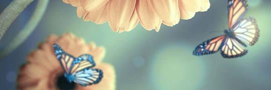 _karen55's profile banner image