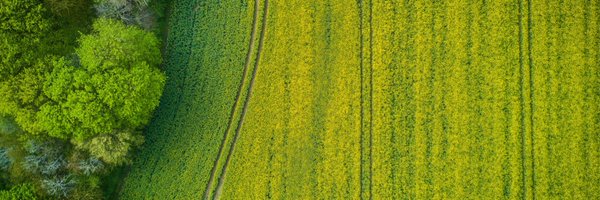 StphaniT Profile Banner