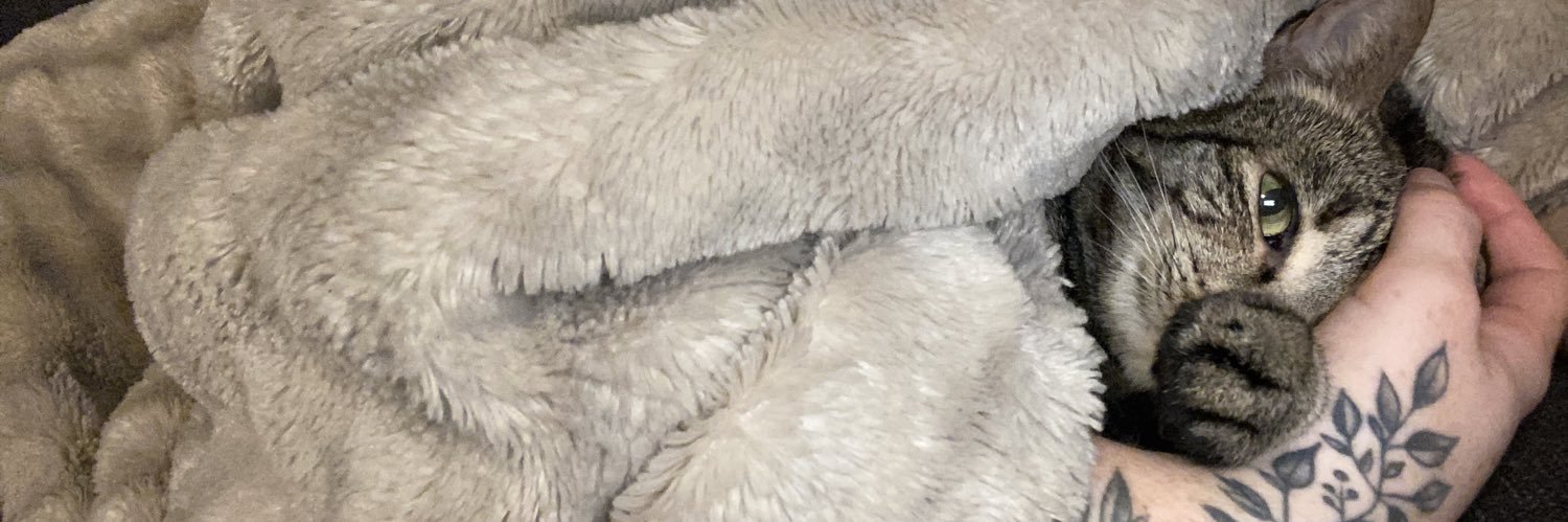 sammcombss's profile banner image