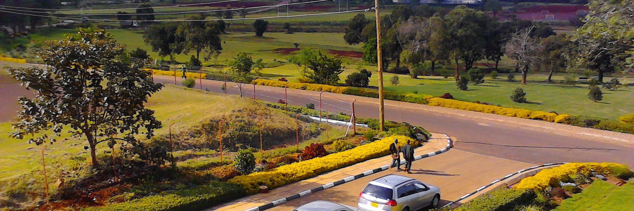 willy_kibet's profile banner image