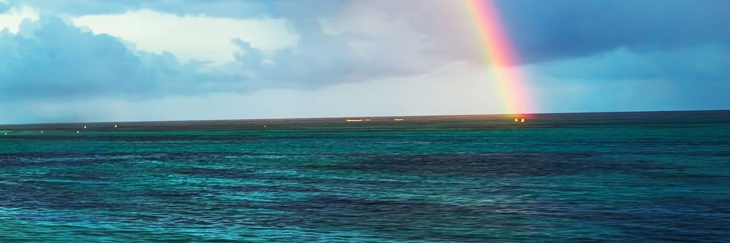 timurgrsoy1's profile banner image