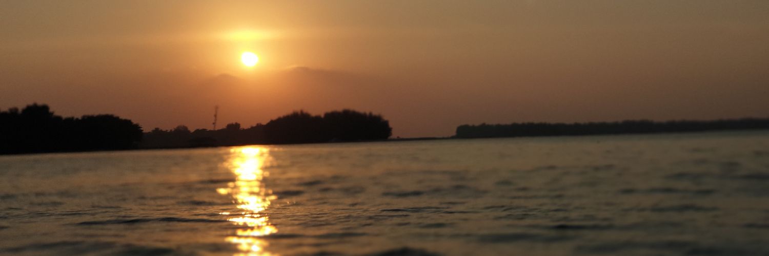 dkdian's profile banner image