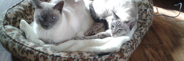 alroberts58 Profile Banner