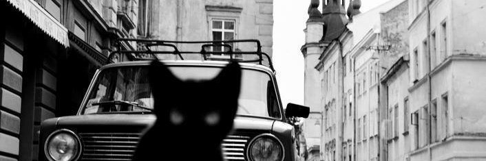 Белая Кошка 🇺🇦 (Розстріляна Весна) banner