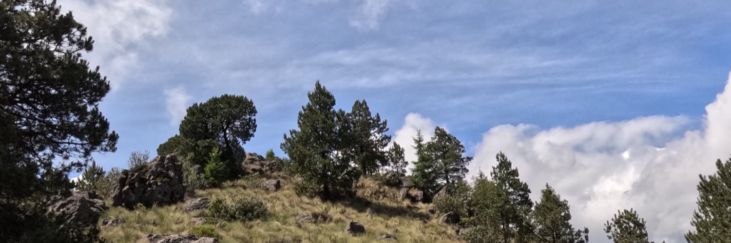 . punto de vista banner