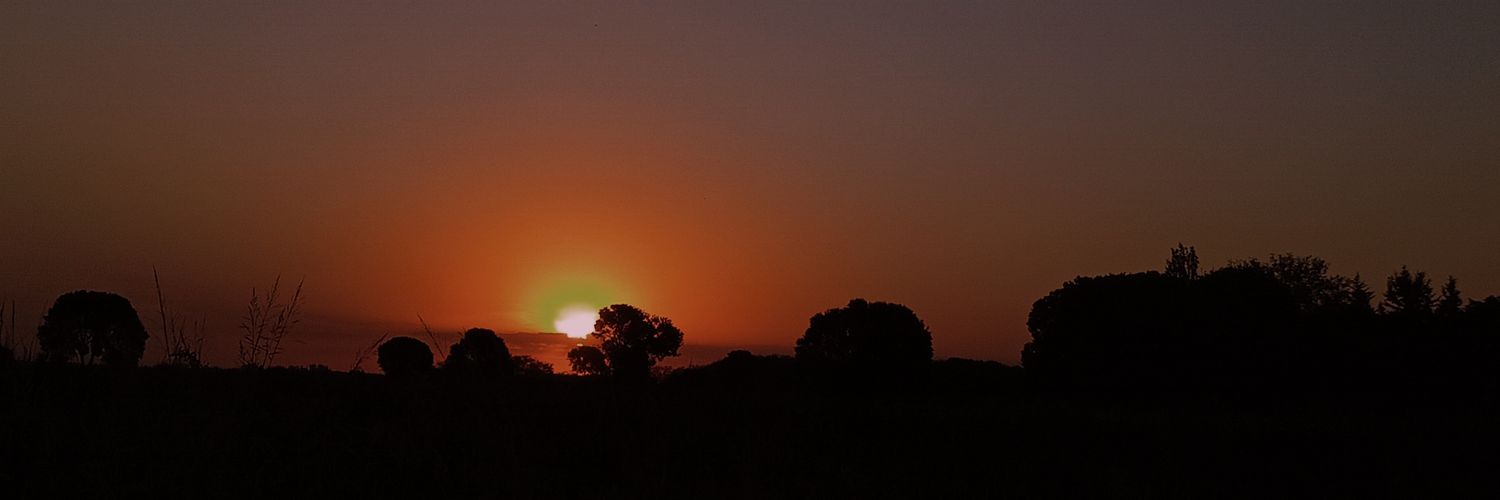 avrilsteg's profile banner image