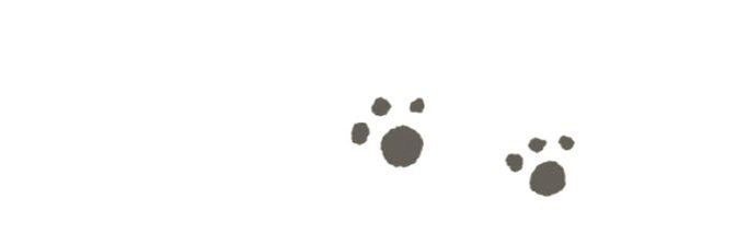 lulu🍰 | Prompto's #1 Fan banner