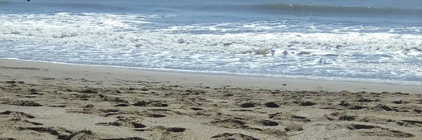 Rucula74059126 Profile Banner