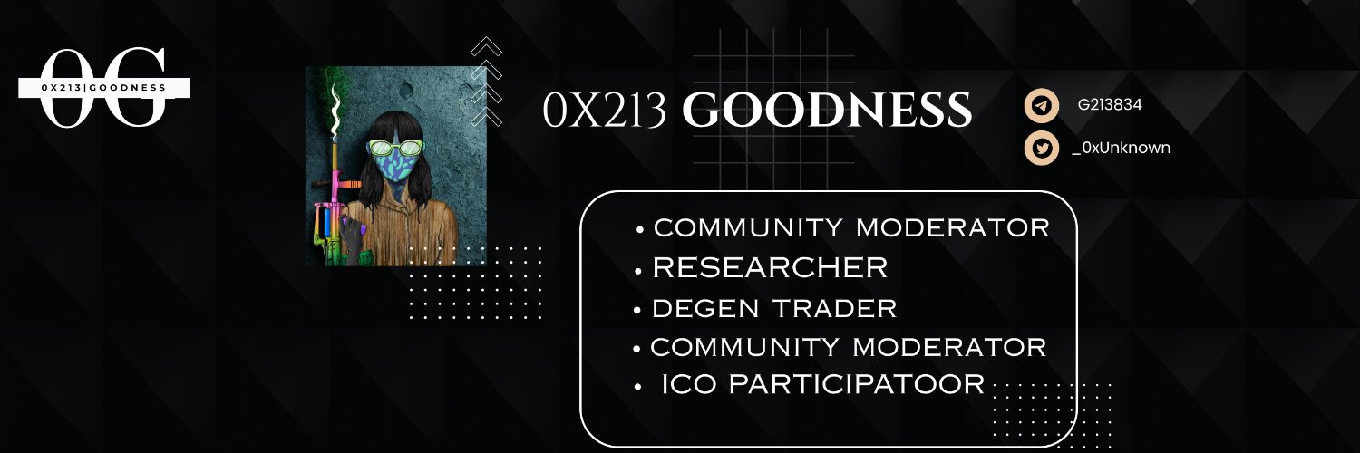 0x213.stark | Goodness banner