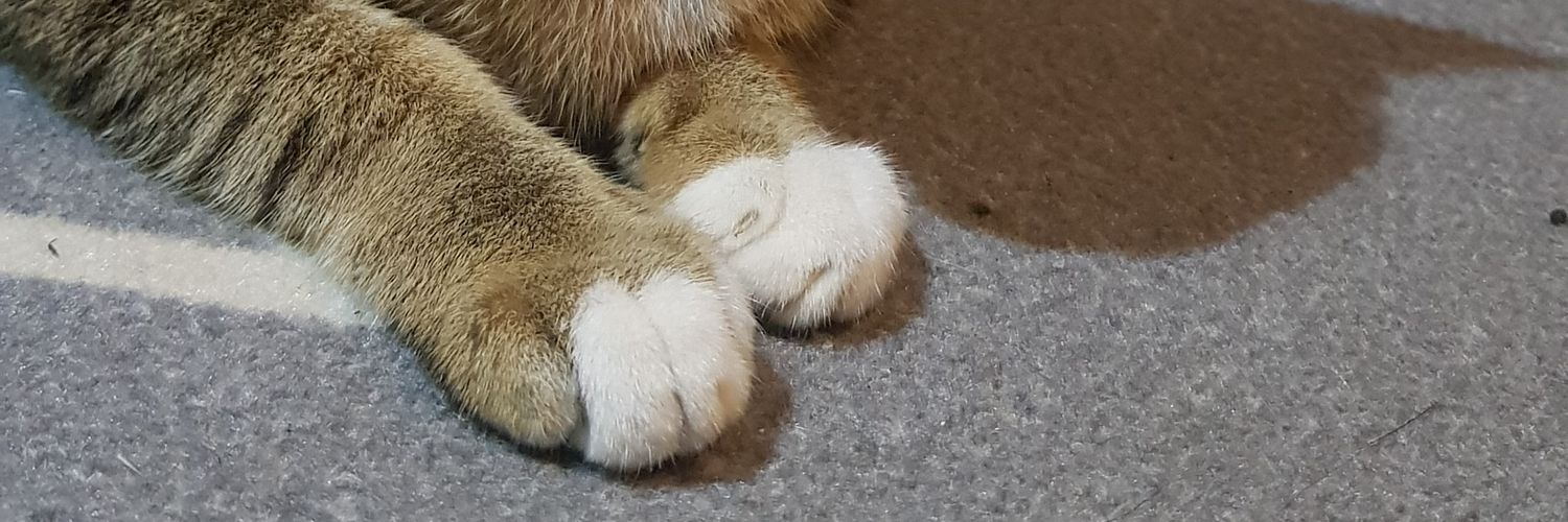 FannyFebrianiS's profile banner image