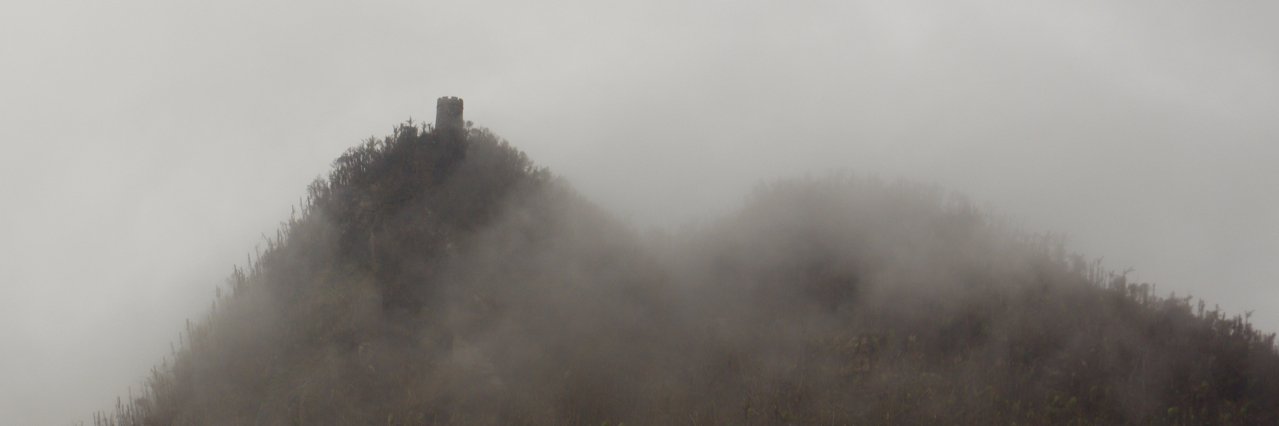 Jess K. Zimmerman🌻 banner