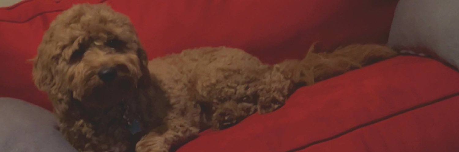 ismarie83's profile banner image