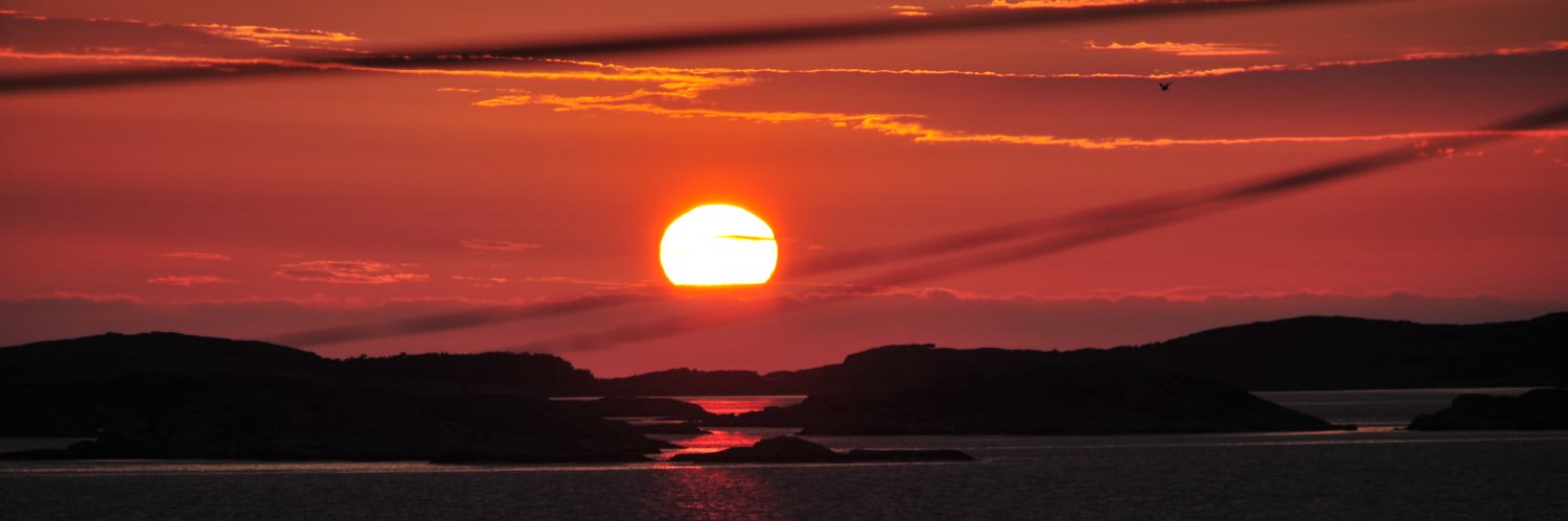 Ingmar Hanson banner