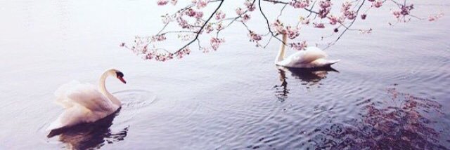 _hlo00om's profile banner image