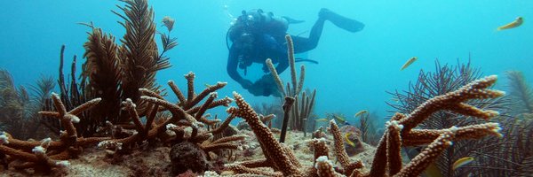 RestorationHub Profile Banner