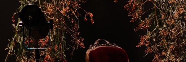 sterling_analog Profile Banner