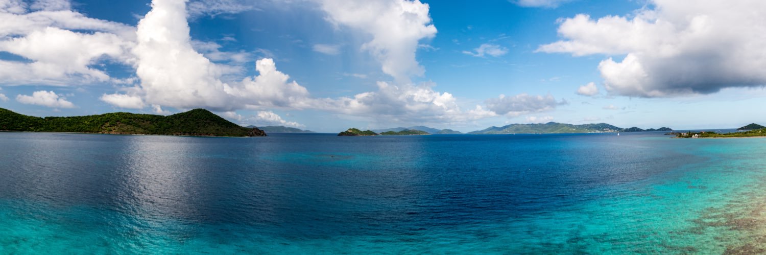 steve ✨strangerwolves✨ banner