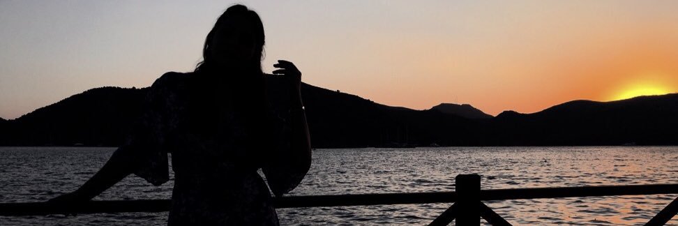 ezgitombull's profile banner image
