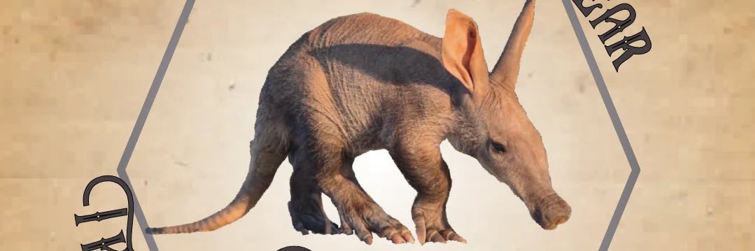 NachoRobaRamrez's profile banner image