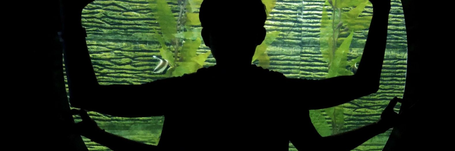 delltavariant's profile banner image