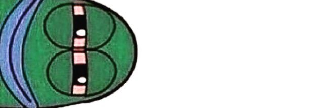 DaamnBrodiee's profile banner image