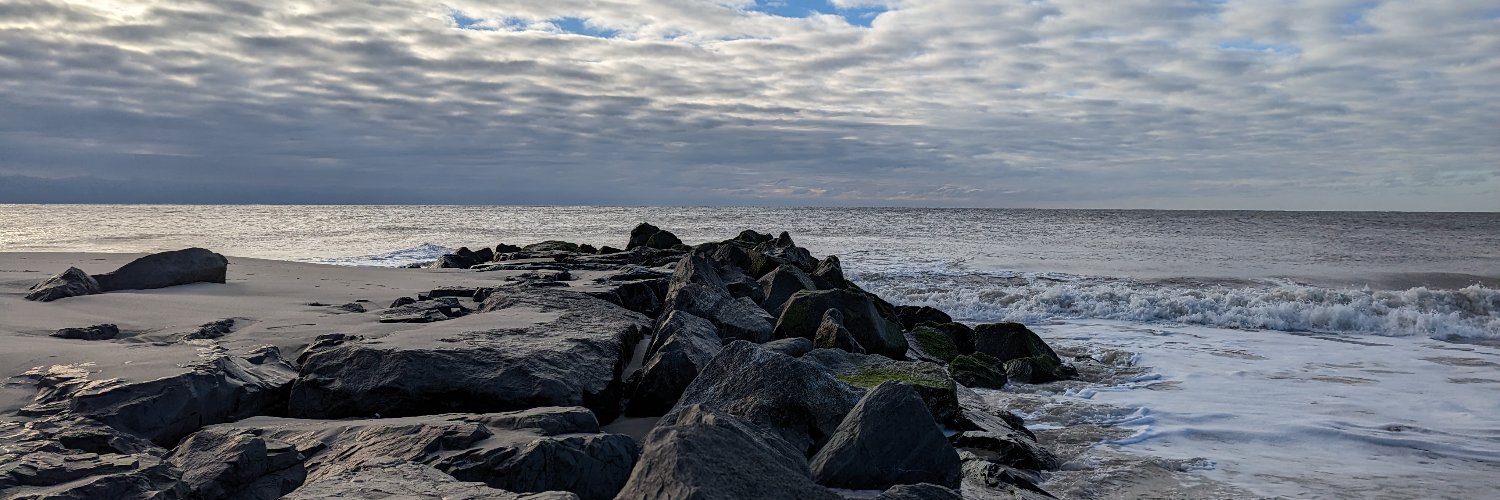 Michael Serdikoff banner