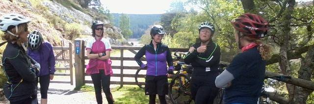 DaisyBikeEvents's profile banner image