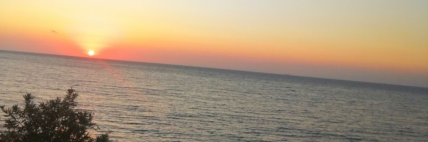GulserenZincirk's profile banner image