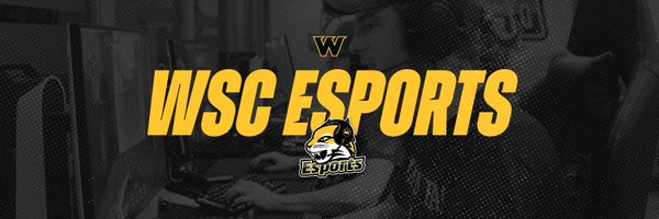 WSCEsports Profile Banner