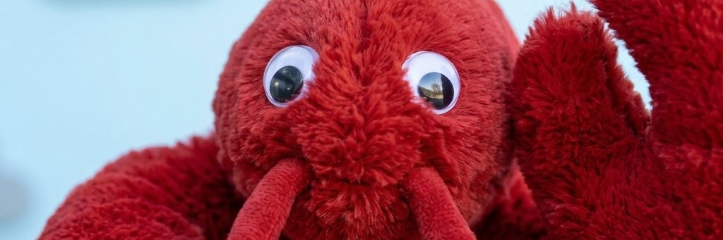 Patrick Mcmillan banner