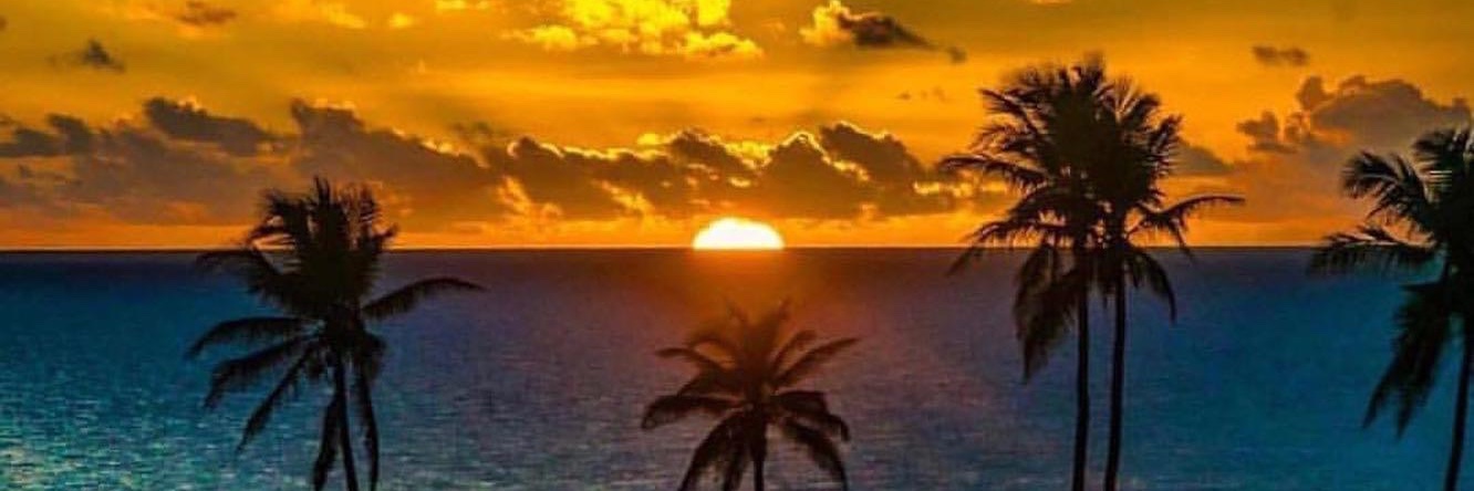 Emely Ramirez banner