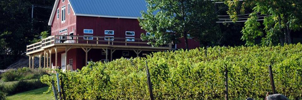 Willow Spring banner