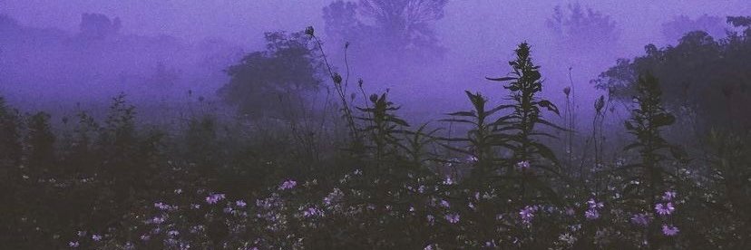 Leon ✮⋆˙ banner
