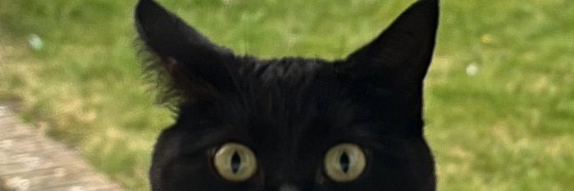 Sarah banner