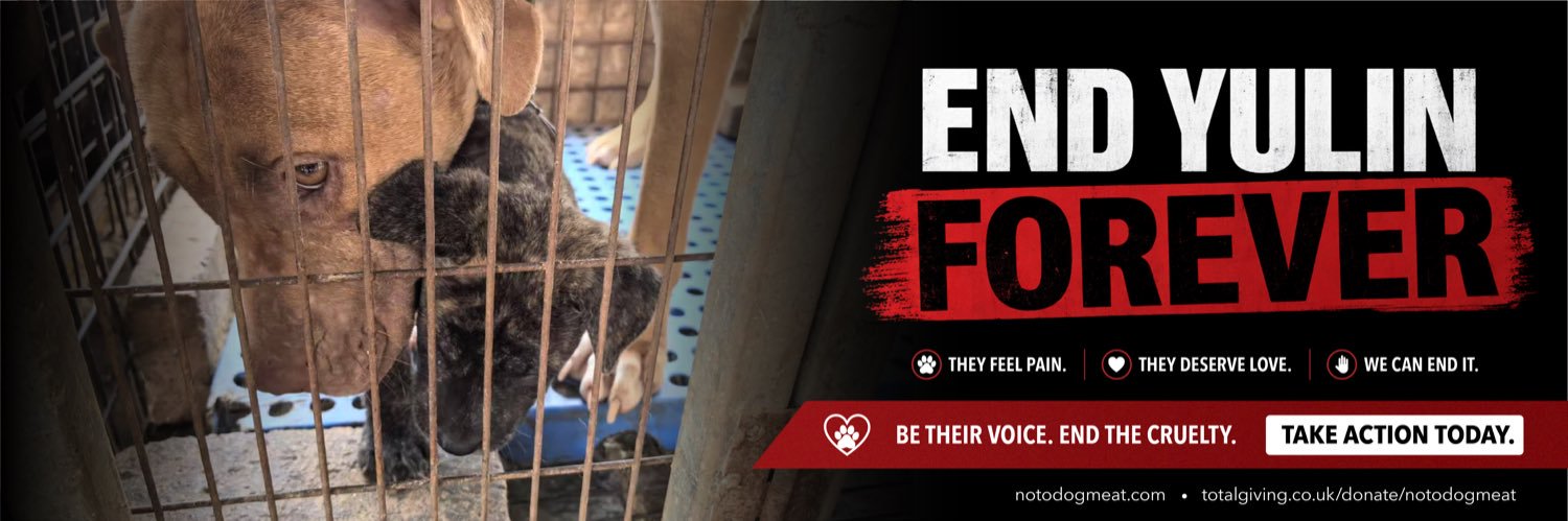 notodogmeat's profile banner image
