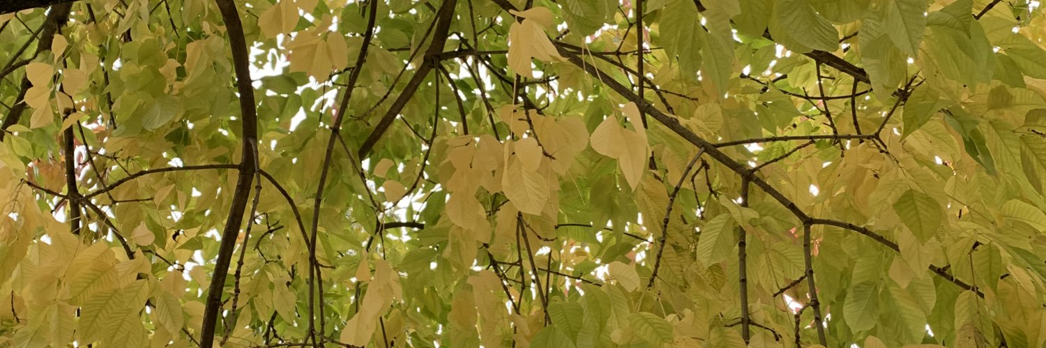 AmyvanKeeken's profile banner image
