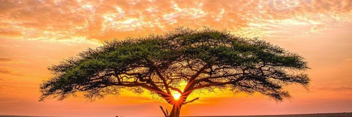 marguasanbor's profile banner image