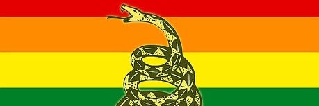 🔞Shungite 🏴 banner