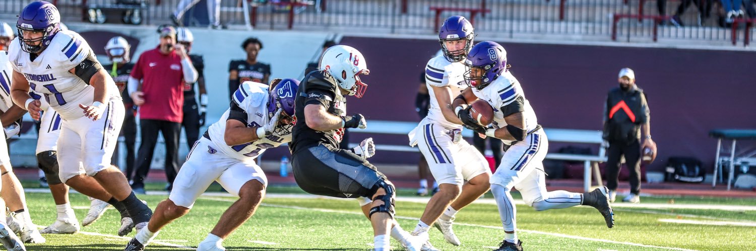 dominic Mangiafico banner