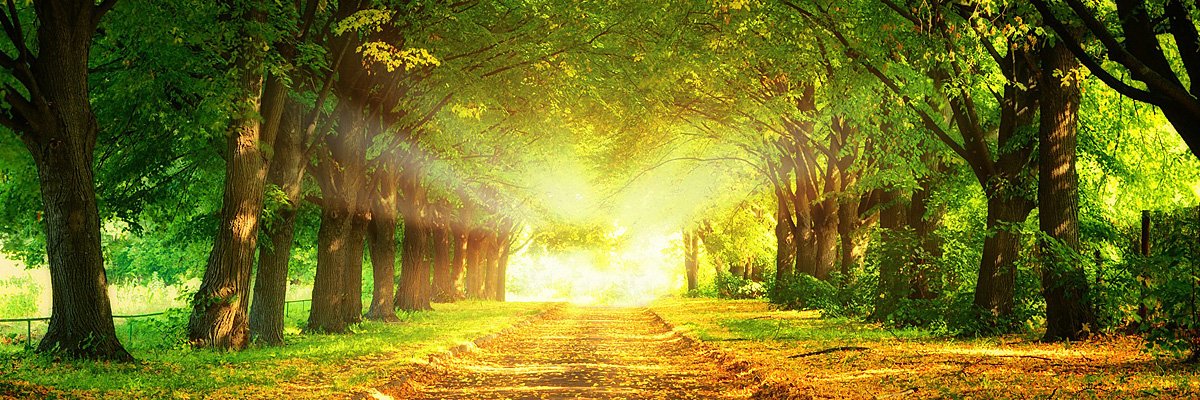 Ieuan65's profile banner image