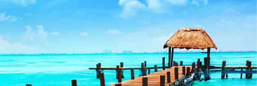T0M0_o's profile banner image