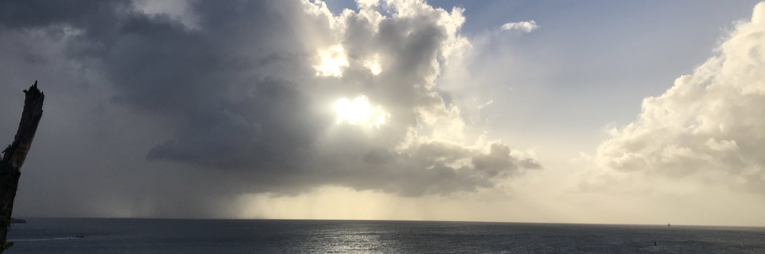 Catalina Toro Perez, banner