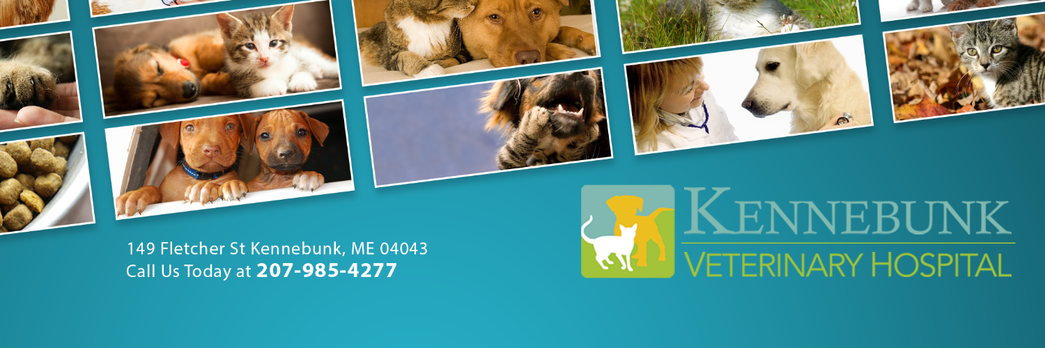 kbunkvet's profile banner image